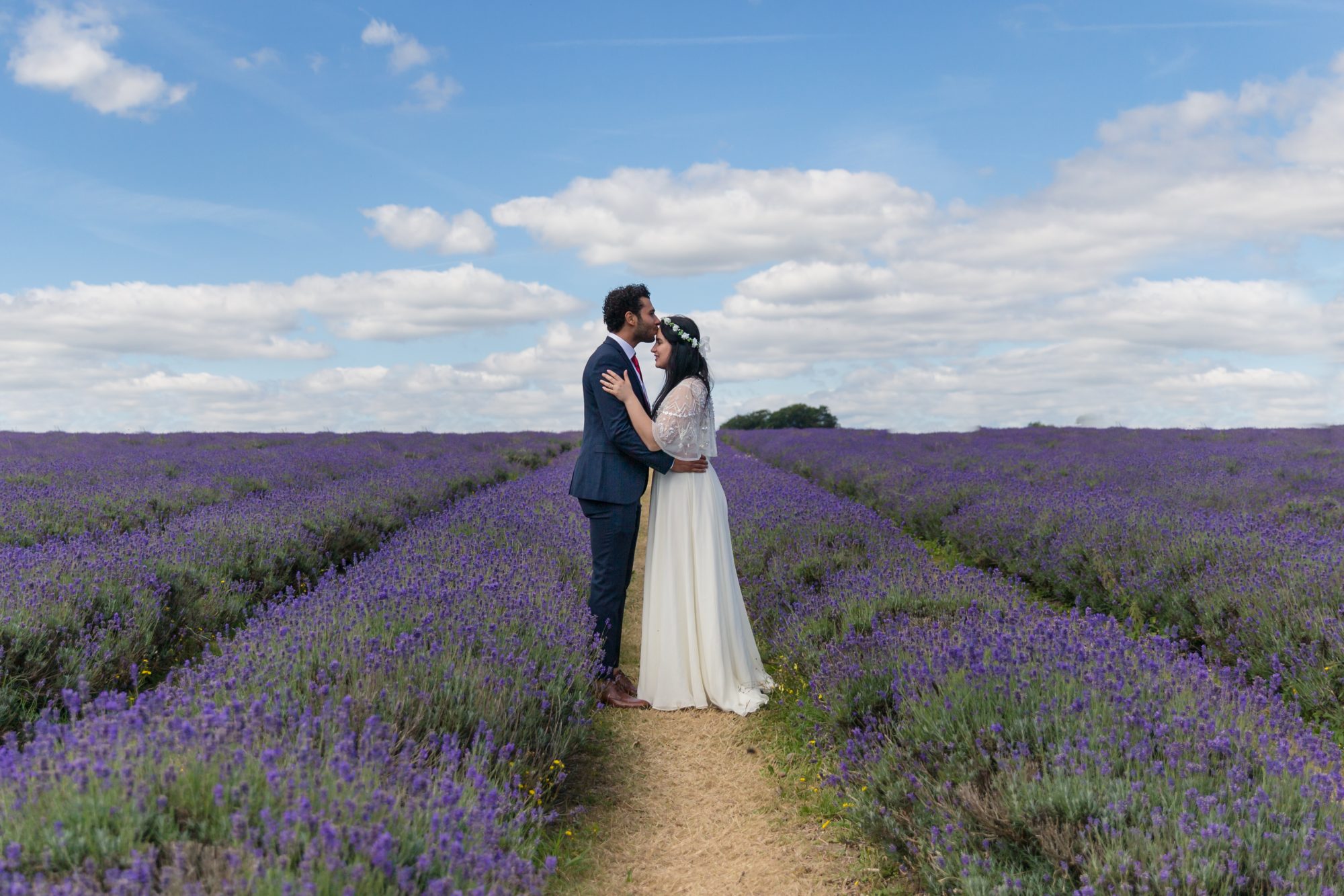 Lavender field wedding photos